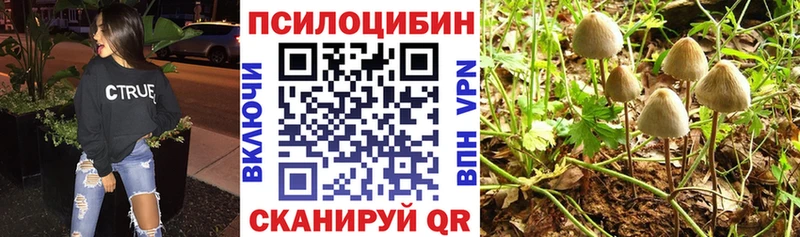 магазин продажи наркотиков  Абдулино  Галлюциногенные грибы ЛСД 